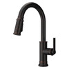 Pfister Colfax Pulldown Kitchen Faucet In Tuscan Bronze