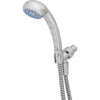 Maintenance Warehouse Chrome Single Function Handheld Shower 2.5 Gpm