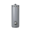 A. O. Smith Proline 40-Gal Atmospheric Vent Natural Gas Water Heater Top T&p