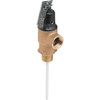 Cash Acme T And P Relief Valve Commercial 3/4 Mip