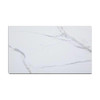 Palisade 25.6in X 14.8in Vinyl Wall Tile Carrara Marble,