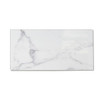 Palisade 11.1in X 23.2in Wall Tile In Carrara Marble, Package Of 10