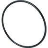 Pentair 355331 Challenger Diffuser Pool O-Ring