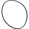 Pentair 355329 Challenger Front Housing Pool O-Ring