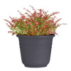 Classic Look Bell Planter, 17-1/2 Diameter, Charcoal