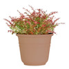 Classic Look Bell Planter, 48 Diameter, Taupe