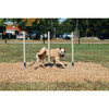 Barkpark By Ultrasite Dog Park Flexible Weave Posts, Natural Green/Beige
