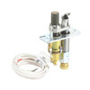 Williams LP Pilot Assemblyp322399 P322399