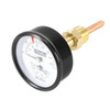Raypak Tp Gauge70/250f 0/90#1/2" Btm 007205f 007205F