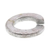 Medium Split Lock Washers, Hot Dip Galvan Steel, Package Of 100