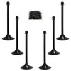 Mr. Chain Black Light Duty Stanchion And Chain Kit