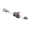 Auburn Liquit Level Probe 3/8"Npt