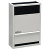 Williams 14000 Btu/Hr Direct-Vent Wall Heater Liquid Propane Gas
