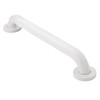Moen Home Care Glacier 30" Concealed Screw Grab Bar
