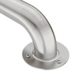 Moen Home Care Stainless 24" Exposed Screw Grab Bar