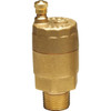 Watts 1/8" Automatic Air Vent Valve With Female Npt Connections