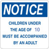 Semi-Custom Children Under The Age Of... Sign, Non-Reflective, 18 X 18"
