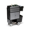 Flexcart Fc-300pcwt 300 Painter'S Cart With Tools