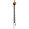 Vestil 2000 Lb Capacity Professional Hand Chain Hoist 10'
