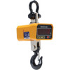 Vestil 6000 Lb Capacity Digital Crane Scale