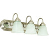 Seasons 24 In. 30w 3-Light Led Bath Vanity Fixture