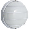 Seasons Outdoor Led Flush-Mount Wall Light (White)