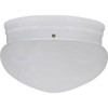 9 In. 2-Light Ceiling Led Flush Mount Light