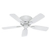 Hunter Fan Low Profile 42 In 5-Blade Indoor Ceiling Fan (White)