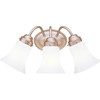 Kichler 18 In. 3-Light Incandescent Bath Vanity Fixture (Brushed Nickel)