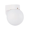 Generation Lighting Signature 7.25 In. 1-Light Outdoor Lantern (White)
