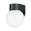 Generation Lighting Signature 7.25 In. 1-Light Outdoor Lantern (Smooth White)