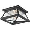 Progress Lighting Mac 2-Light Incandescent Flush Mount Light