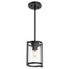Hunter 19005 Astwood Pendant Fixture (Matte Black)
