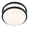 Cordelia Lighting 16 In. Outdoor Ceiling Light (Matte Black)