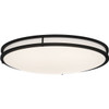 Cordelia Lighting 24 In. Outdoor Ceiling Light (Matte Black)