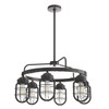 Hunter Starklake 6-Light Indoor Chandelier (Nobel Bronze)