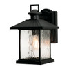 AFX Lennon 14 In. 1-Light Med Base Outdoor Sconce Black 120v, Clear Water Glass