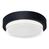 AFX Elm 11 In. LED Outdoor Ceiling Fixture Black, 3000k