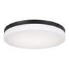 AFX Oscar 14 In. LED Flush Mount Black 120v, 27/30/35/40/50k