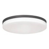 AFX Oscar 19 In. LED Flush Mount Black 120v, 27/30/35/40/50k