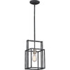 Satco Nuvo Iron Black One-Light Mini Pendant