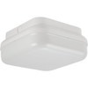 Liteco 10 In. 2-Light Outdoor Ceiling Light