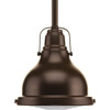 Progress Lighting Fresnel Lens 6 In. 1-Light Mini Pendant Fixture (Oil Rubbed Bronze)