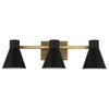 Generation Lighting Towner 3-Light Satin Brass Vanity Light Black Steel Shades