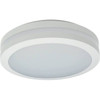 Liteco Outdoor LED Bug Proof Ceiling Or Wall Lantern (White)
