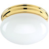 8-Inch Dome 2-Light 60w Incandescent Flush Mount Light, Polished Brass