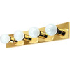 24 In. 4-Light Incandescent Bath Vanity Fixture