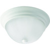 Seasons 13 In. 2-Light Incandescent Flush Mount Light (Textured White)