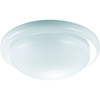 Seasons 2-Light Incandescent Flush Mount Light W/ Frosted Glass (White)