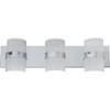 Seasons Haswell 24 In. 3-Light Led Bath Vanity Fixture